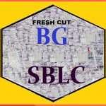 BG/SBLC FOR LEASE