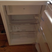 3 month old fridge 