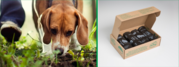 Buy Compostable Dog Waste Bags Online- BioBag